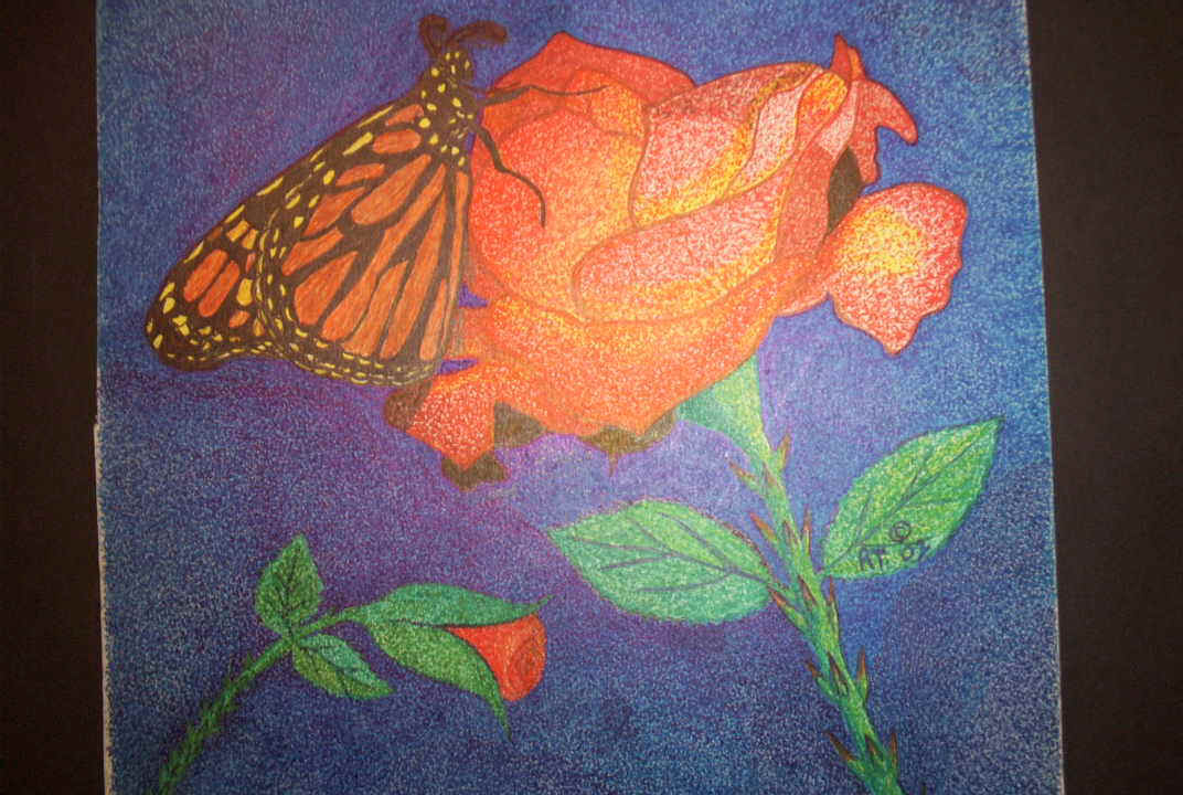 butterfly, rose.JPG (102332 bytes)